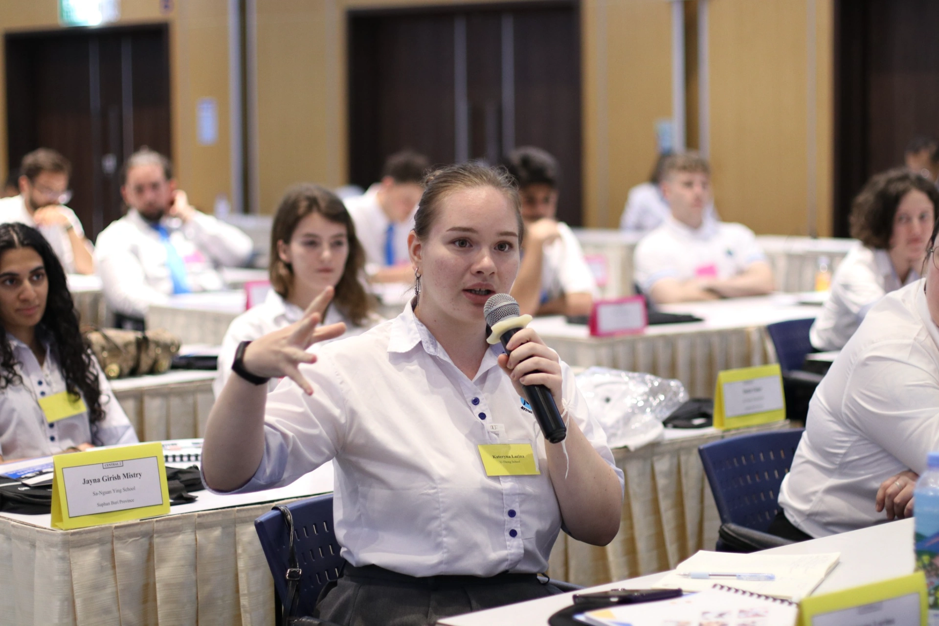 Curriculum consultant